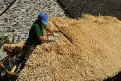 Un teitador en la Reserva de la Biosfera de los Ancares Leoneses.