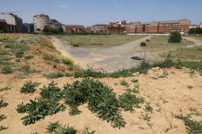 El histórico descampado ha sido área de infravivienda, recinto ferial, espacio para el circo y aparcamiento en precario.