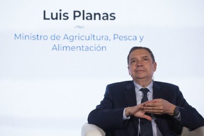 El ministro de Agricultura, Pesca y Alimentación, Luis Planas. J