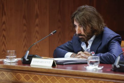  El ex director ejecutivo de Globalia y de Air Europa.