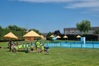 Un grupo de niños se divierte en la piscina.