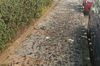 Restos de excrementos en plena acera.  El aspecto es lamentable.  Otro ejemplo de la dejadez.  Los aparcamientos también lo sufren.  Detalle del poco cuidado junto a las barandillas.