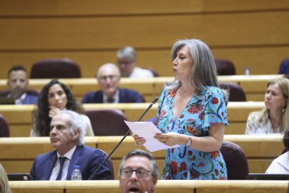 La senadora leonesa del PP María Asunción Mayo interviene durante la sesión de control al Gobierno celebrada por el pleno del SenadoEFE/ Victor Lerena