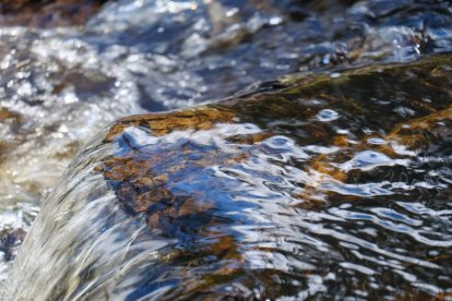 Las aguas de la Fuente de Don Roque, en Villanueva de la Tercia, brotan a una temperatura situada entre los 28 y los 31 grados, según las distintas fuentes consultadas, y dieron origen a un histórico balneario hoy abandonado.