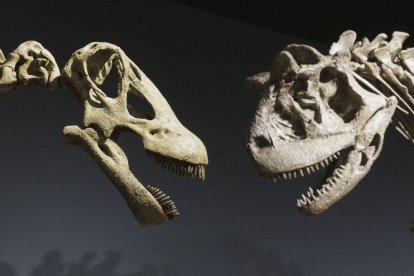 Los hallazgos en torno a los dinosaurios están completando su historia en diferentes regiones.