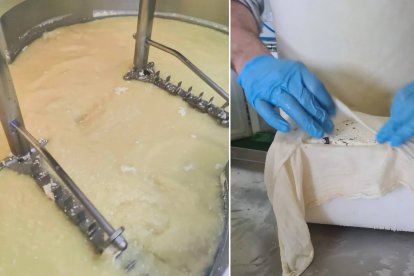 El queso pata de mulo se elabora con leche cruda de oveja y un proceso completamente artesanal que incluye el corte de la cuajada, el moldeado manual y varios meses de maduración.