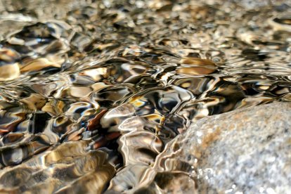 Las aguas de las Caldas de Getino mantienen una temperatura constante de entre 26 y 27 grados y, según diversas fuentes locales, son apreciadas por su contenido en bicarbonatos y minerales ferruginosos.