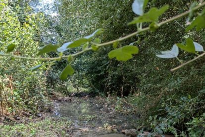La avería surge deel reventón de uno de los registros de un colector de aguas residuales.