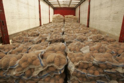 Los agricultores venden a 25-30 céntimos el kilo, mientras producirla cuesta hasta 40 céntimos.