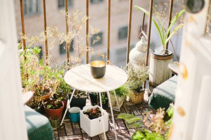 Combinar jardineras, plantas resistentes y una distribución cuidada permite transformar la terraza en un espacio más armonioso, privado y seguro sin necesidad de hacer obras.