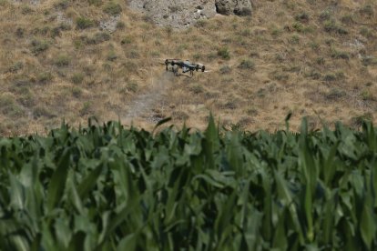 Un dron en funcionamiento durante la presentación del Plan Estatal de Fertilizantes.