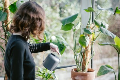 Reutilizar el agua del aire acondicionado para regar determinadas plantas puede ser una alternativa sostenible, siempre que se haga de forma ocasional y se combine con el riego habitual, según explica Mitsubishi Electric.