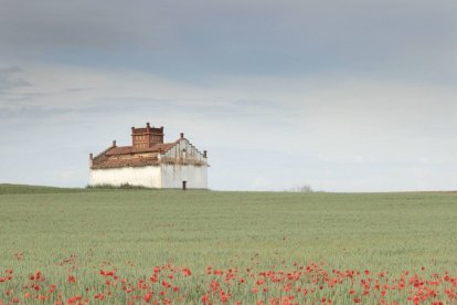 Palomar de Fáfilas con paisaje primaveral elegido para la portada del segundo tomo