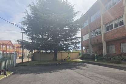 Trabajas de mantenimiento en los colegios.