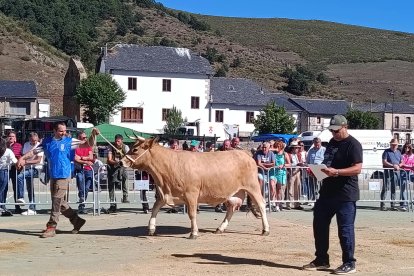 Feria de ganado de Cabrillanes