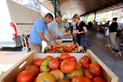 Un puesto en un mercado ecológico organizado en Valladolid.