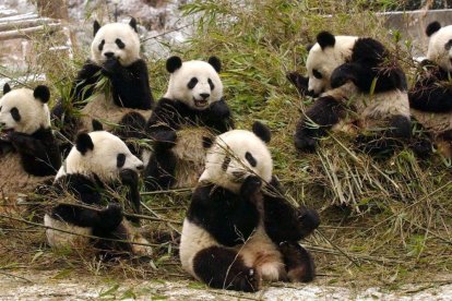 China y EE UU buscan seguir teniendo una relación cordial.