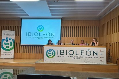Jornadas de Ibioleón.