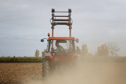 Un agricultor prepara la tierra para la sementera en una finca del Órbigo.