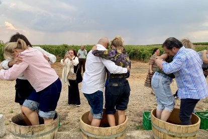 Enoturistas pisando uva en el viñedo de una bodega de la Denominación de  Origen León.
