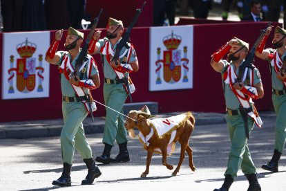 La cabra de la legión durante el tradicional desfile militar por las calles del centro de Madrid en el que participan casi 4.400 militares, 144 vehículos, 39 motos, 50 aviones y 32 helicópteros, este lunes Día de la Fiesta Nacional. EFE/ Daniel Gonzalez