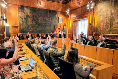 La decisión fue adoptada este lunes en sesión extraordinaria.