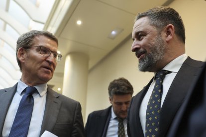 El líder del PP, Alberto Núñez Feijóo (i), y el de Vox, Santiago Abascal (d) en una imagen de archivo en el Senado. EFE/ Kiko Huesca.