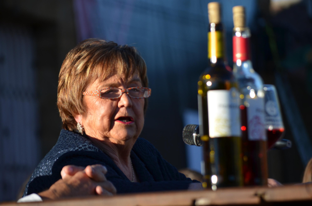 Isabel Mijares García Pelayo, dando el pregón de la Feria Vitivinícola de Gordoncillo 2016