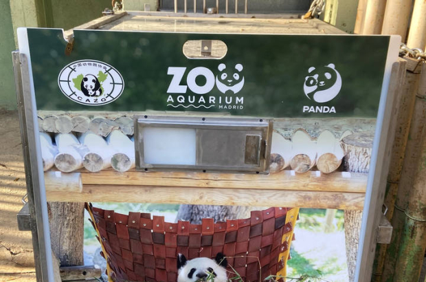 Una de las cajas en las que se transportará a la familia de osos panda de Zoo Aquarium de Madrid formada por la pareja Hua Zui Ba (20) y Bing Xing (23), los gemelos You You y Jiu Jiu (2) y su hermana mayor Chulina (7), emprenderán el viaje de regreso a la Base de Cría del Panda Gigante de Chengdu este jueves 29 de febrero.