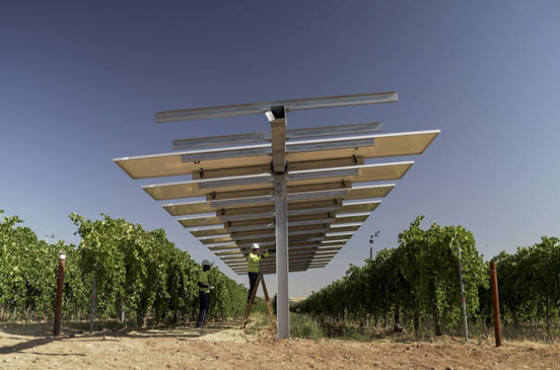 Unos técnicos trabajan en unos paneles solares del proyecto agrovoltaico 'WineSolar' de Iberdrola en los viñedos de Bodegas González Byass y el Grupo Emperador en Guadamur, Toledo.