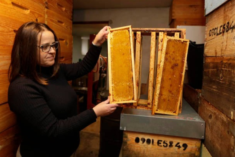 La mejor miel de España "sabe a chocolate" y es de León