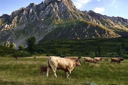 Los doce pueblos que componen el municipio de Valdeluguero están rodeados por una naturaleza siempre espectacular, donde suceden vegas de verde original, en los que predomina la ganadería extensiva. Su paisaje excepcional incluye el pico del Huevo de Faro, de 2.156 metros, sobre una gran zona glacial, Vegarada, nombre del puerto que une León con Asturias. Junto al cauce del Curueño discurría la calzada romana, hoy una excelente ruta de senderismo en la que disfrutar de bellas lagunas.