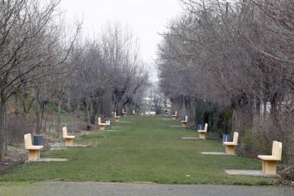 Todo lo que ofrece Villamañán se resume en tres conceptos indispensables para el visitante: historia, patrimonio y tranquilidad. Por eso Villamañán y su municipio hacen acopio de costumbres y fiestas de la esencia de un León que se asoma al sur sin perder el norte que le inspira, que bebe de las vegas mientras se recuesta en la línea del Páramo, que destella verde albahaca en verano y ofrece calma en la mirada entre los viñedos ocres del otoño. Villamañán espera al viajero por un camino que no tiene pérdida.