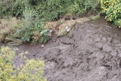 Aguas del río Cabrera