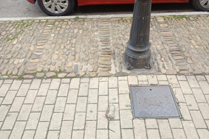 La rata muerta en medio de la acera.