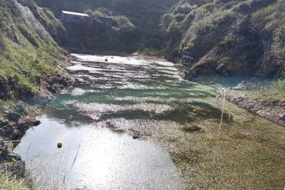 La balsa de Berbes donde se han encontrado los coches y se buscará a Mari Trini (foto de arriba) y su hija Beatriz.
