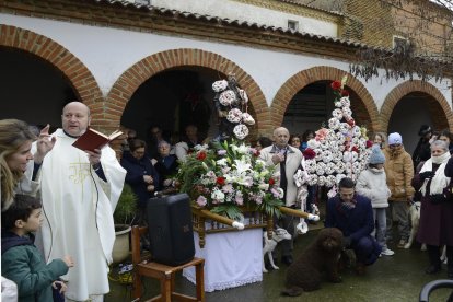 Fiesta de San Antón en la provincia de León.