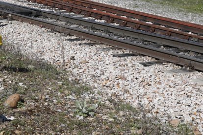 Detalle de los desperfectos de la vía