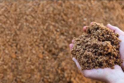 El proceso valoriza purines, estiércoles y paja de maíz.