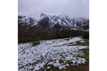 Nieve en el puerto de Las Señales este sábado. CAMPOS