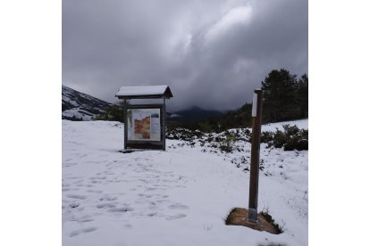 El paisaje es más típico del invierno que de la primavera. CAMPOS