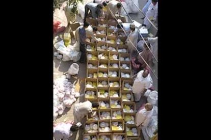 La Cachemira paquistaní es la zona más afectada por el seísmo que sacudió el Sur de Asia y ha causado más de 20.000 muertos en Pakistán.