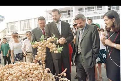 Rajoy es enormemente feliz cuando llega el verano y puede irse de vacaciones a Sanxenxo. Es fiel, desde hace más de 20 años, a la costumbre de bañarse en A Lanzada o dar largos paseos por la costa pontevedresa.