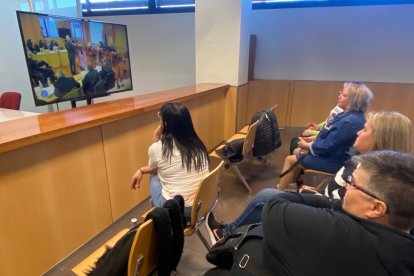 La segunda jornada del juicio comenzó poco antes de las diez de la mañana. RAMIRO