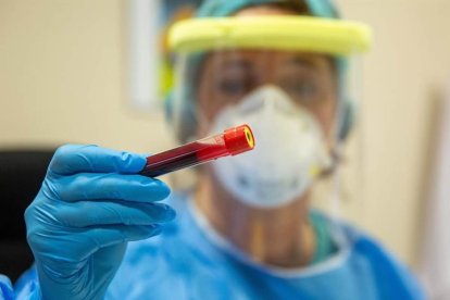 La ciencia creará diferentes grupos humanos. EFE