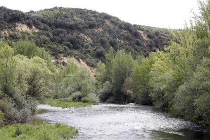 Todo el entorno natural de Vegas es icónico. M.P.