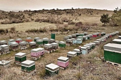 Foto: FERNANDO OTERO