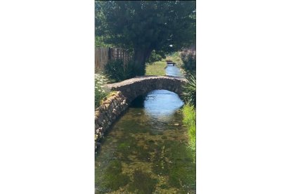 'Puentes'. De Ana María Paniagua Álvarez. En Gallegos de Curuaño