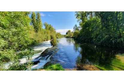 'Río Esla'. De Federico López Torbado. En Villahibiera