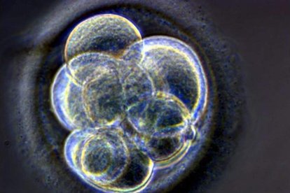 El historial científico de Shahbai se centra en la biología molecular. DL